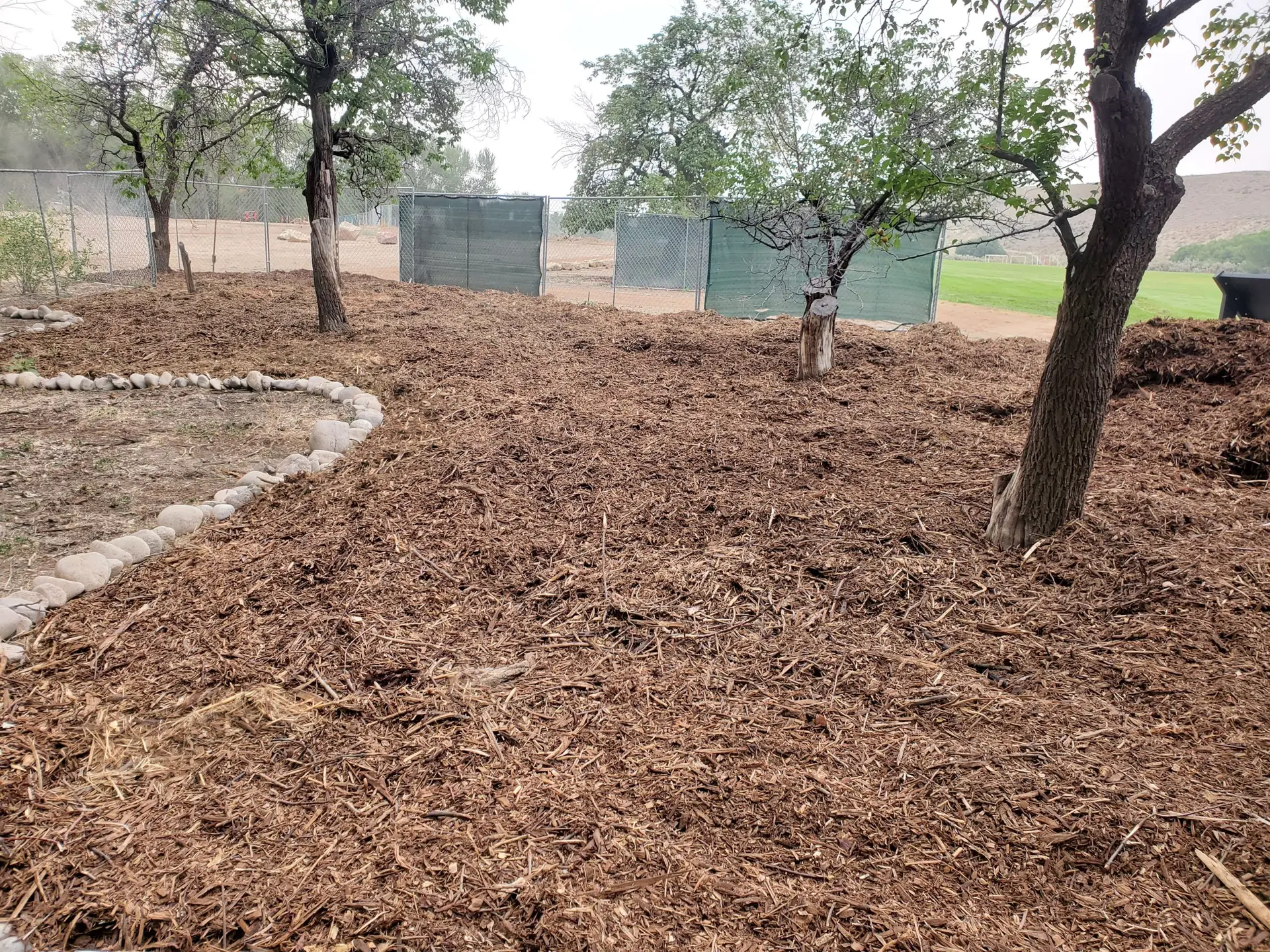 mulch